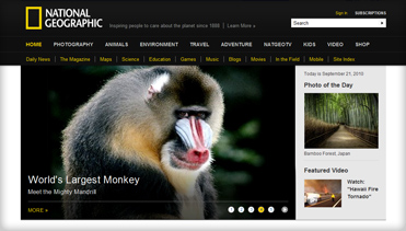 在线手机号呼死你